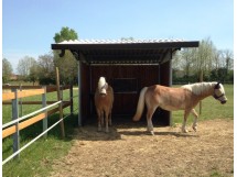 foto 5 capannina singola